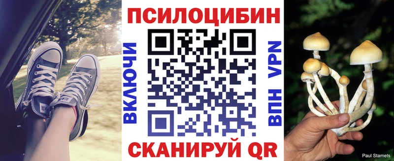Галлюциногенные грибы ЛСД  Купить закладки  Балей 